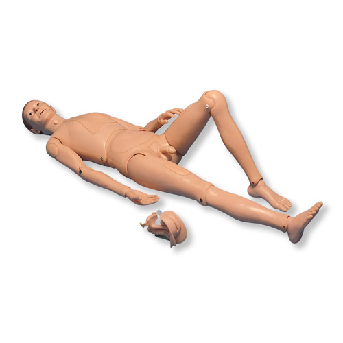 3B Scientific®病人護(hù)理模型II